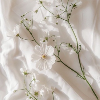 сияние души❕