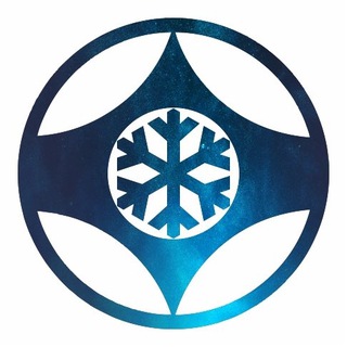 XXIX Новогодний Турнир по киокусинкай, г. Новосибирск