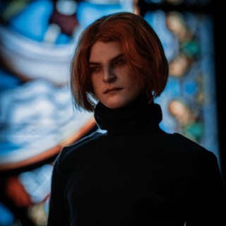 Гнездо Птицы