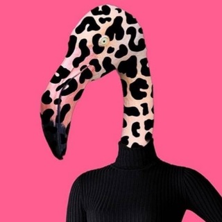 ФЛАМИНГО ФАКТОР с Полиной Пушкиной