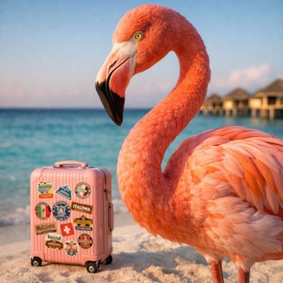Фламинго-Трэвел🦩✈️🧳