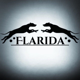 FLARIDA | ammunition