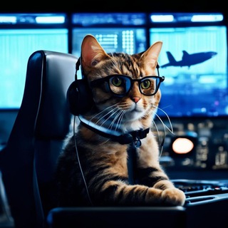 Flightradar записки энтузиаста