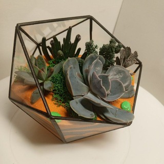 FLOR_ART- MY_LOVE❤️❤️❤️