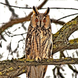 Природа и Я!