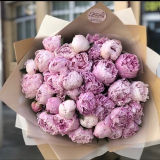 Студия флористики FLORA 💐