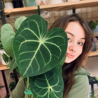 🍃 рисование и флора 🍃