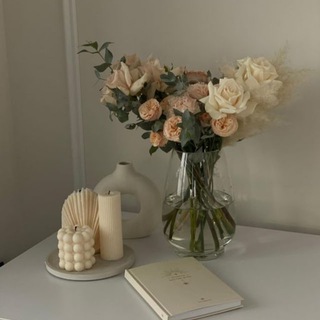 Комнатный рай