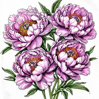 Цветы в доме