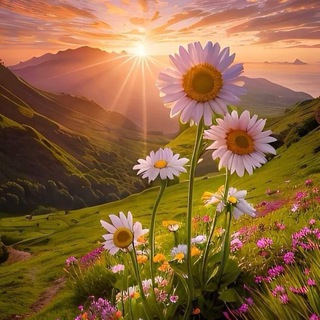 Цветы | Сад Моих Мечт