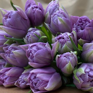 Цветочная лавка