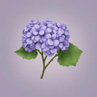 Гортензии | Тула