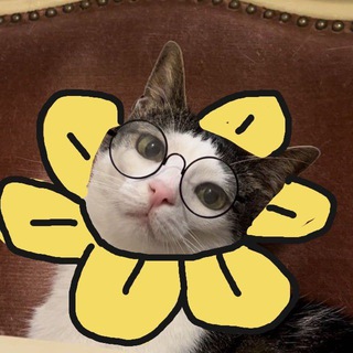 flowwercat