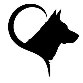 Приют Пушистая Семья