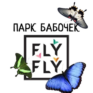 Парк тропических бабочек Флай-Флай | Уфа, Башкортостан