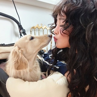 yeah im f* neverland