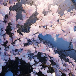 диагнозова