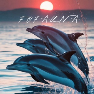 FF | Facts of Fauna🫍