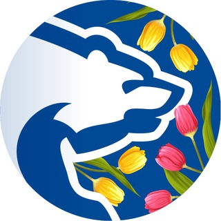 ЕДИНАЯ РОССИЯ ФОКИНО🇷🇺