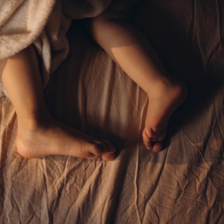 Фокус на севере