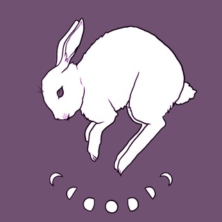 Следуй за белым кроликом