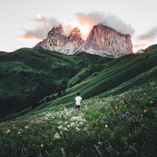 into the wild | retreats & trips