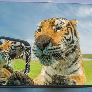 𝙁𝙊𝙇𝙕𝙄𝙫𝙁𝙊𝙍𝘽𝙀𝙎