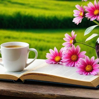 Обои на каждый день