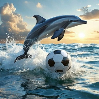 Футбольный Сочи