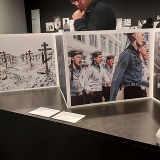 стажировки гранты правозащитникам