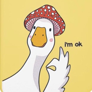 Мемы для спасения менталочки