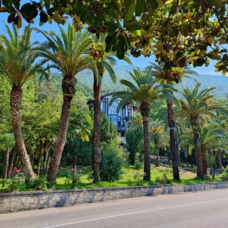 Гоша Джачвадзе: AI и Стратегический Маркетинг