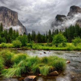 Лесные пейзажи🥦