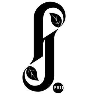 Forest Jam Project 🎼🌲