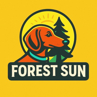 Питомник ТАКС Форест Сан 🐾 Щенки таксы