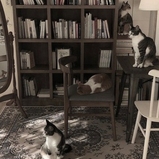 For the love of books