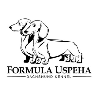 Формула Успеха питомник такс