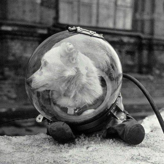 Мир в черно-белых цветах