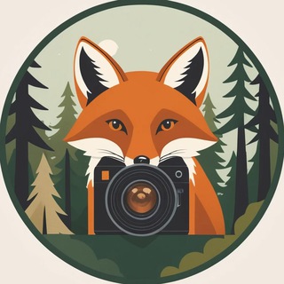 Новости из Фотоловушки