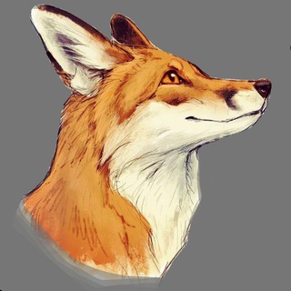 Студия /Fox🦊/
