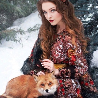 Лисья грамота. Книжное царство