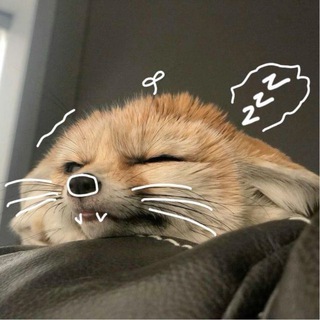 лисьи записки