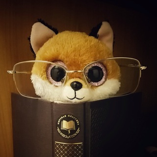 foxy_reading