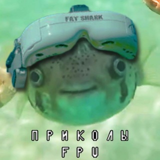FPV приколы