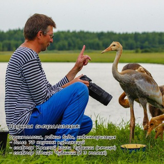 free biologist 🐦‍⬛️