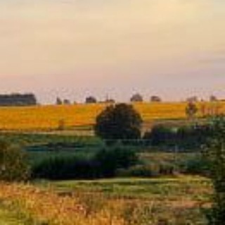 ХАЛЯВА КРИПТЫ - АНАЛИЗ РЫНКА КРИПТОВАЛЮТ