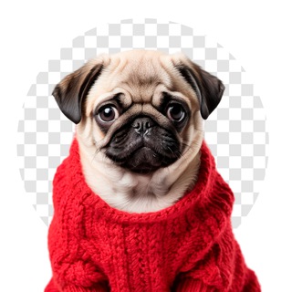 Бесплатные PNG | Без фон | Без авторских прав