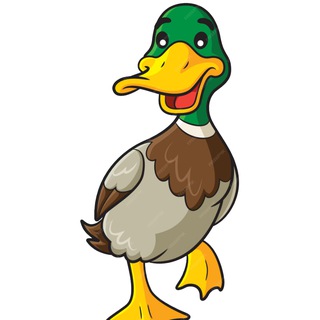 Свежая Утка I Шутки Анекдоты Мемы