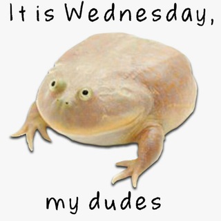 Среда, мои чуваки🐸