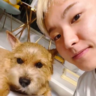 Корейский Бит